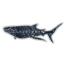 Nudi Wear Whale Shark Sticker