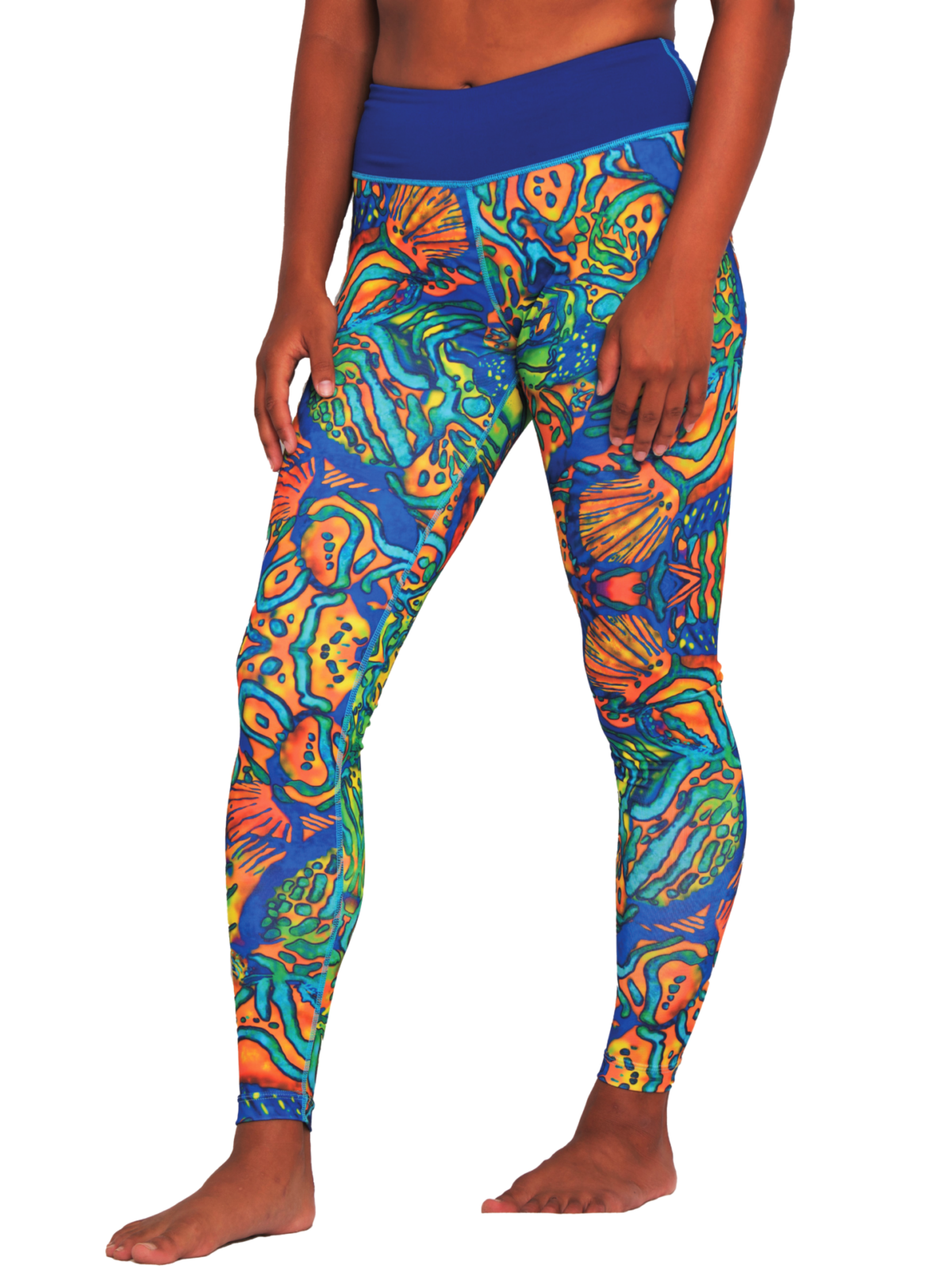 Mandarinfish Series Archives NUDI WEAR