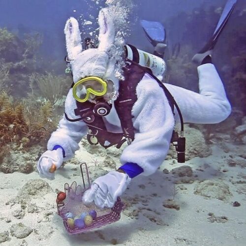 Underwater Easter Egg Hunt and Dive Against Debris NUDI WEAR