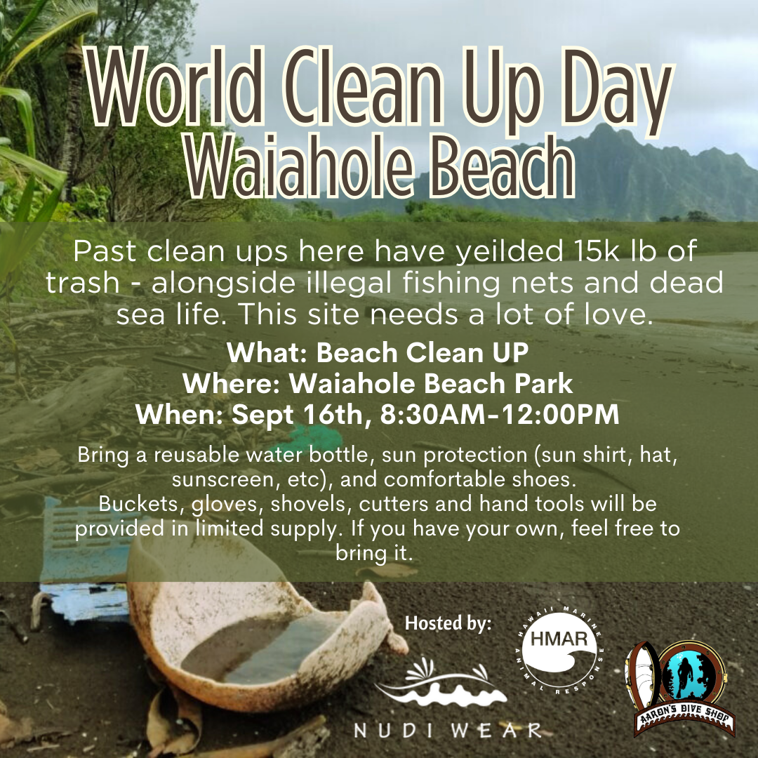 Nudi Wear Waiahole Beach Park Cleanup