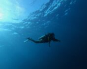 A female scuba diver floats alone in a clear, blue sea. There is only water around her. We can see the sun’s rays coming down from the surface. She is facing to the right and is completely horizontal as she swims.