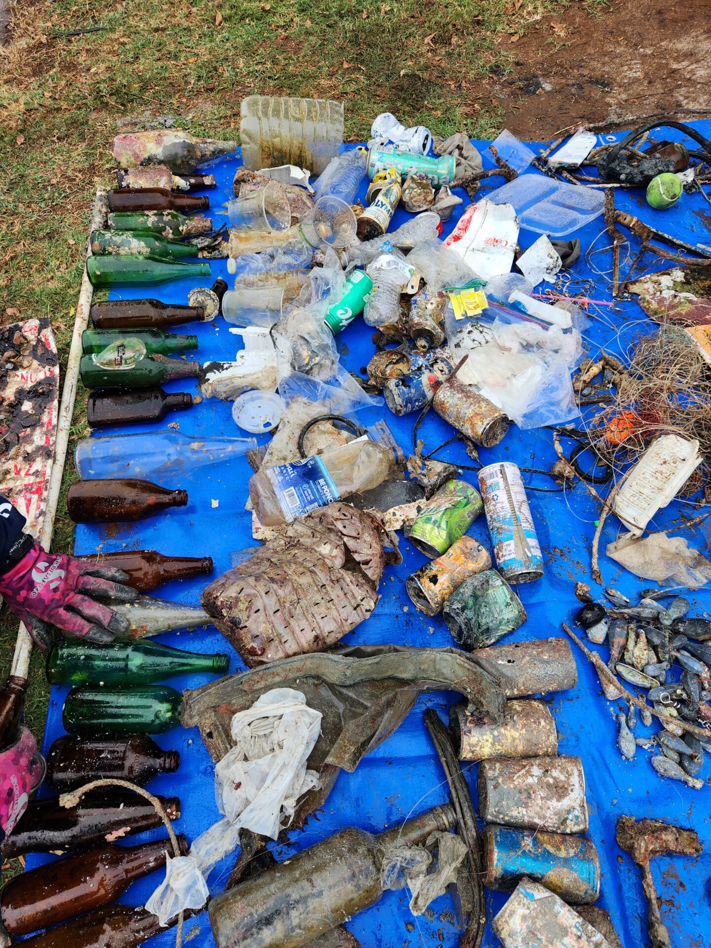 glass bottles, single use plastic containers, and aluminum cans on a blue tarp after they were removed from the ocean while diving at point panic
