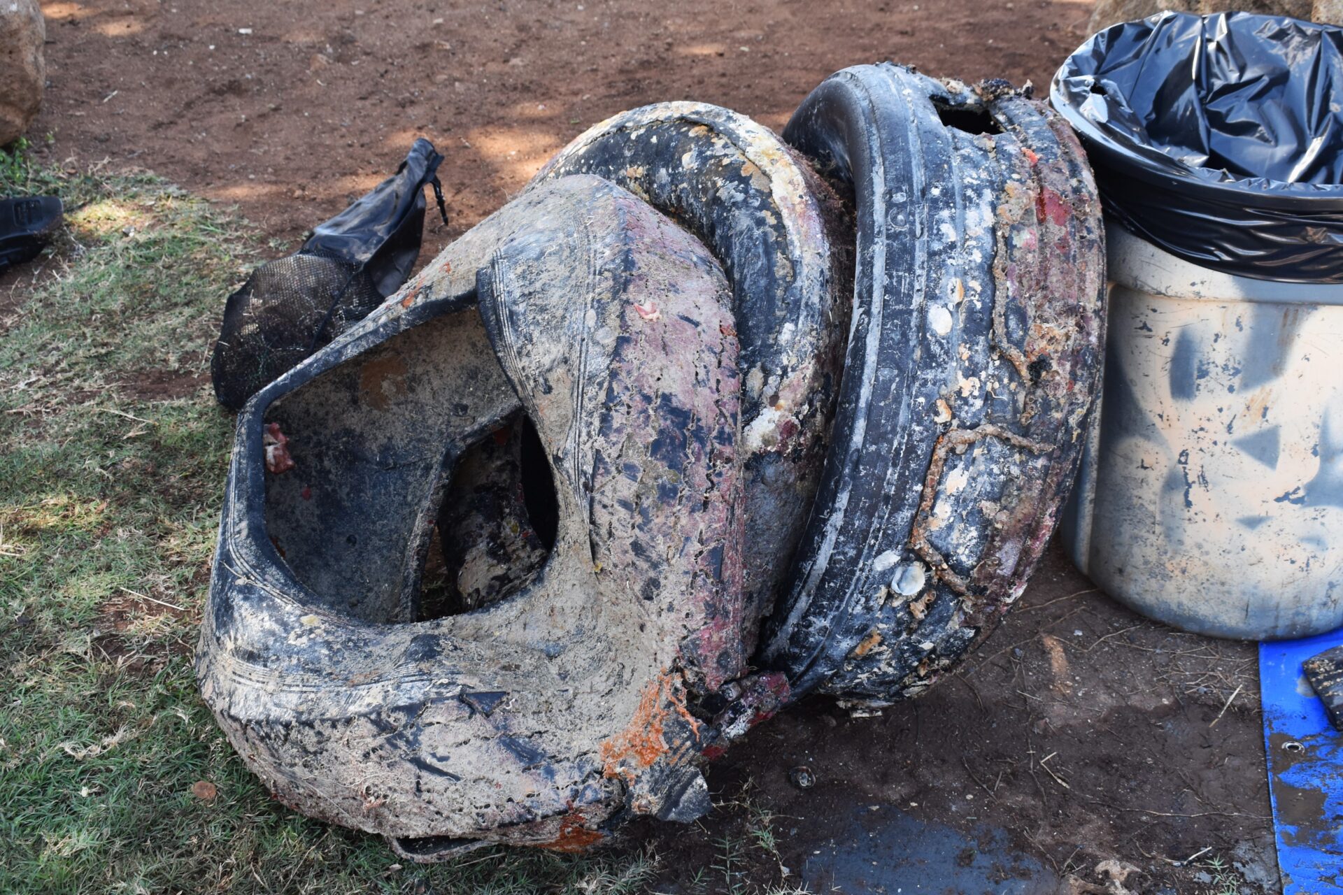 3 large car tires that were removed by Nudi Wear volunteers at Point Panic, a popular dive site on Oahu