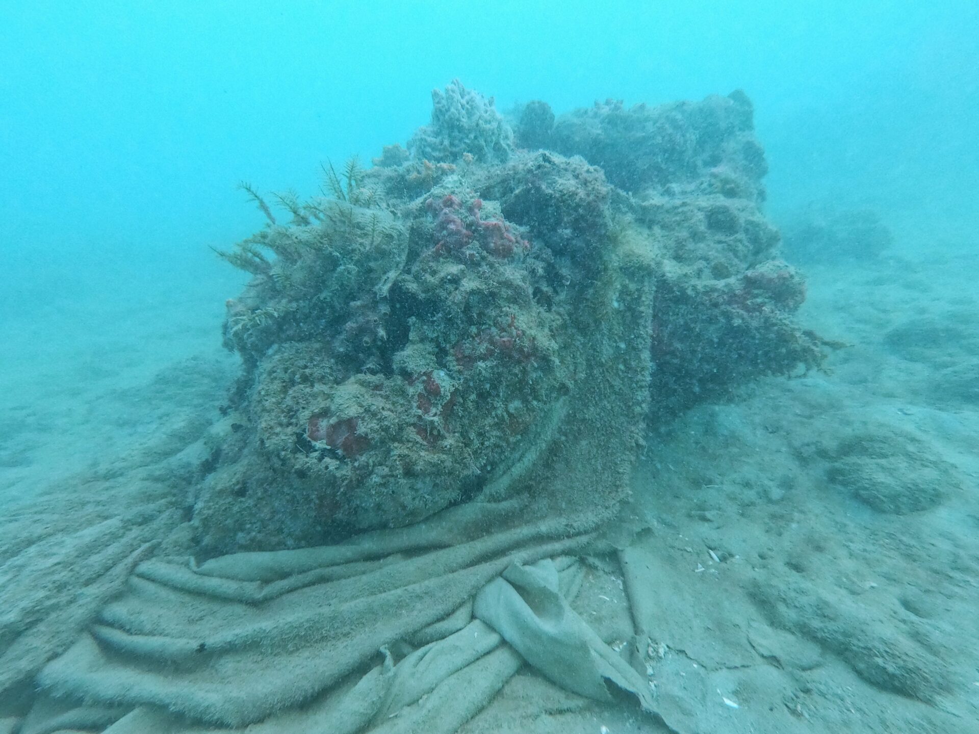 A white bed sheet wrapped around the base of a large coral head seen while diving at Point Panic