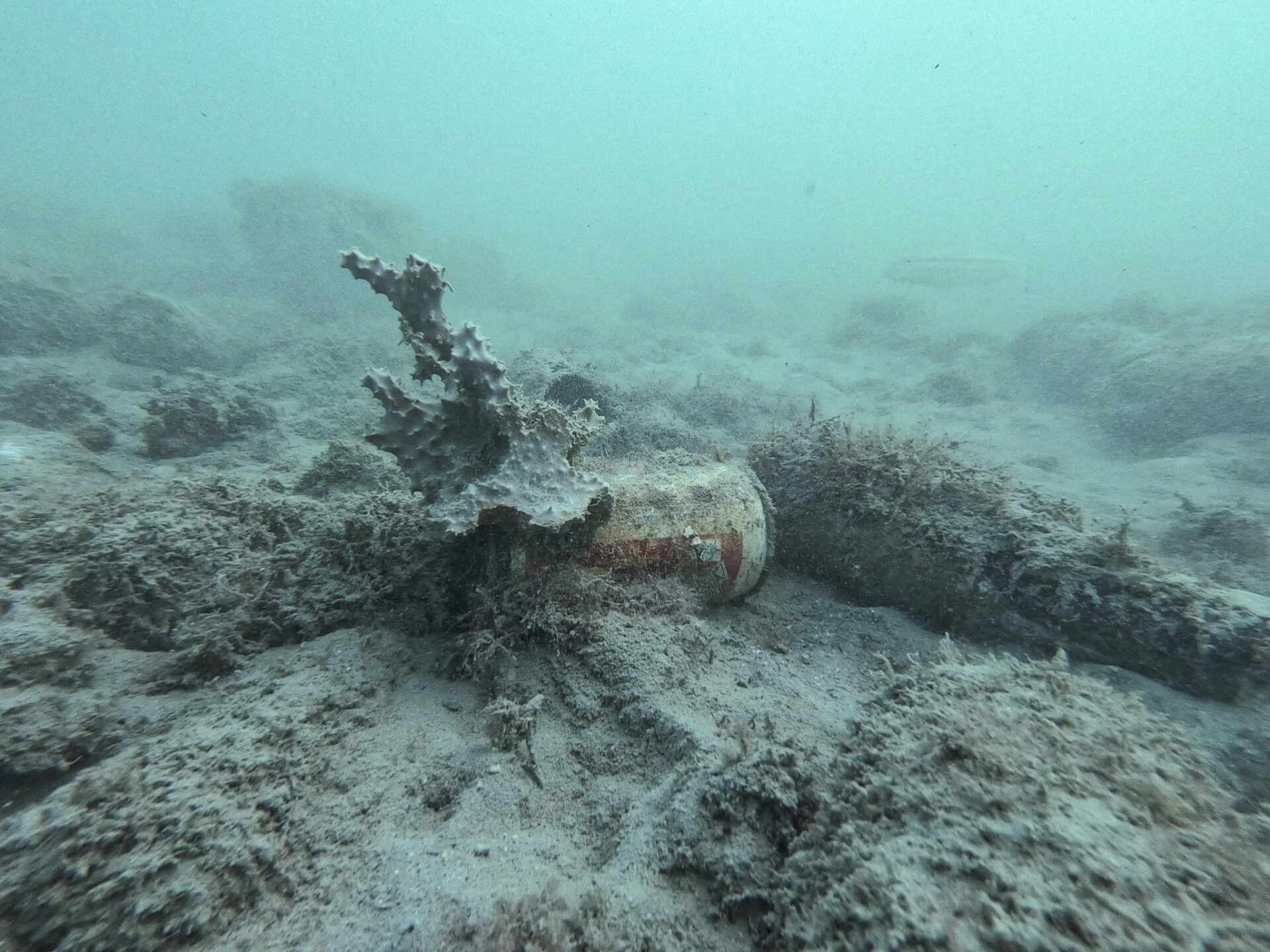Marine debris found at the popular dive site on Oahu, Point Panic