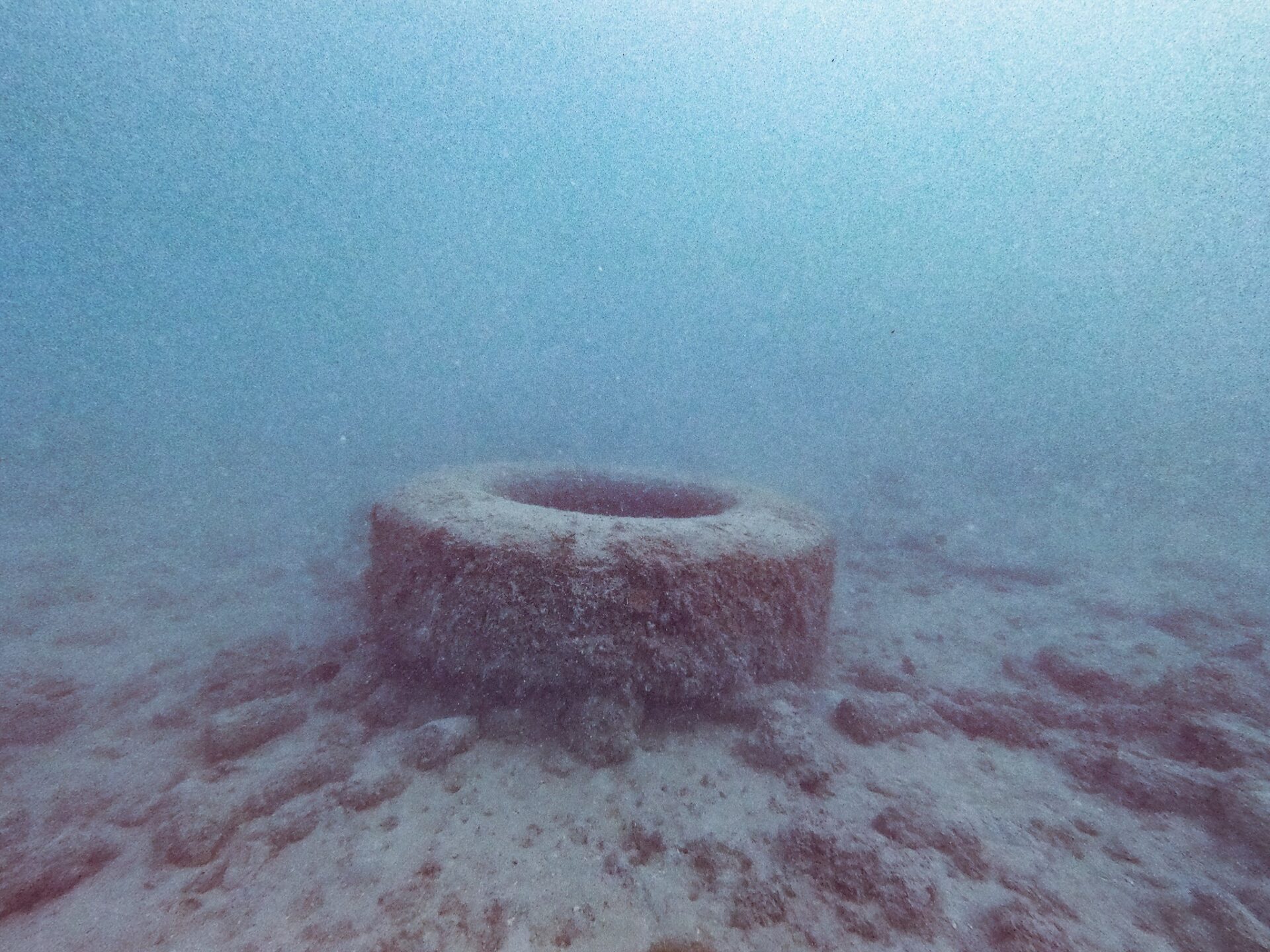 A tire in the ocean before it was removed by Nudi Wear from Point Panic, a popular dive site on Oahu