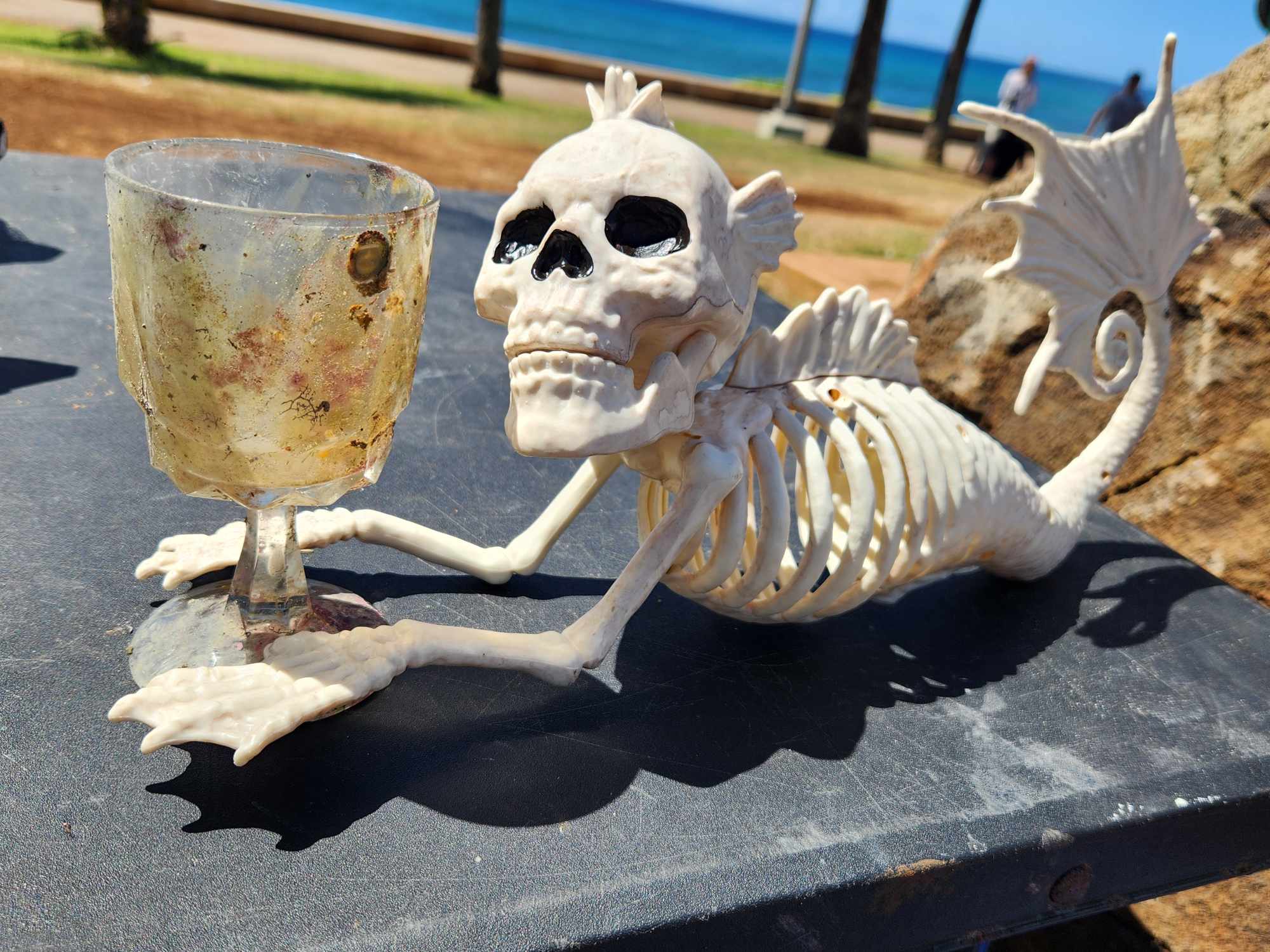 A crystal wine glass found during the dive sitting in the arms of a toy skeleton