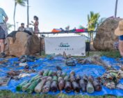 Nudi Wear sign with ocean debris