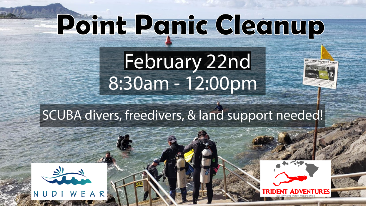 Point Panic Cleanup Dive with Trident Adventures