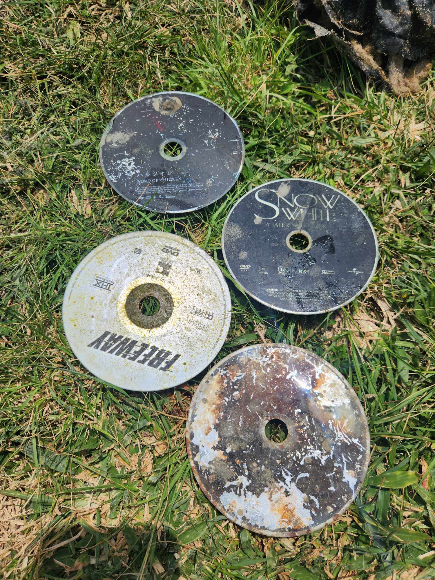 CDs found in the ocean