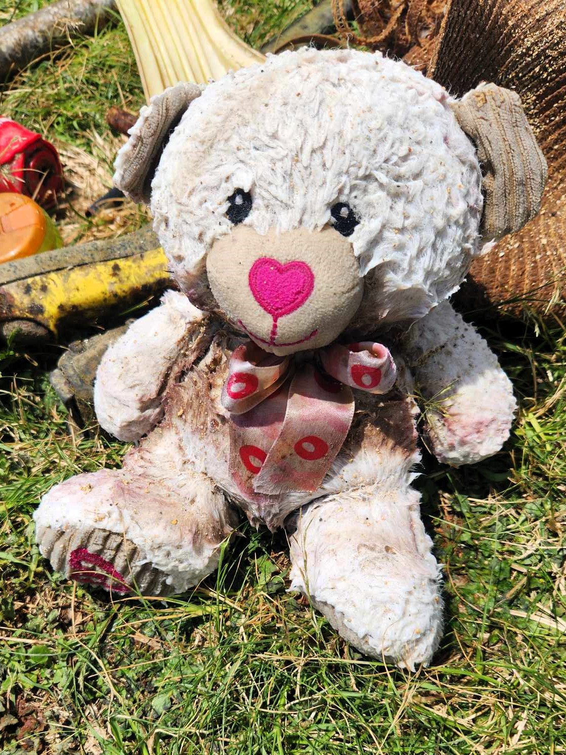 Kids toys found in the ocean during the Dive For Earth Day event