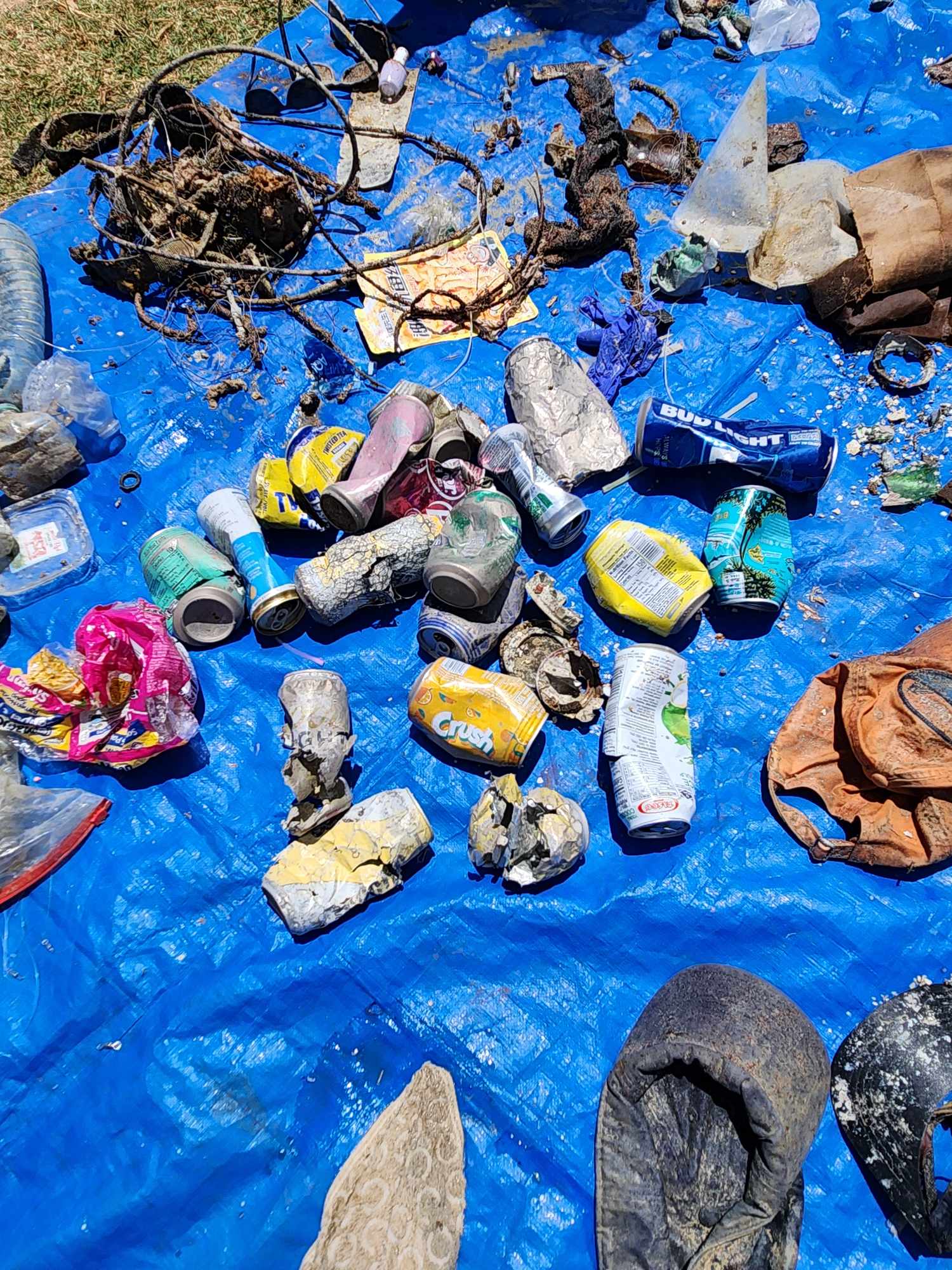 Marine debris removed during the Point Panic cleanup