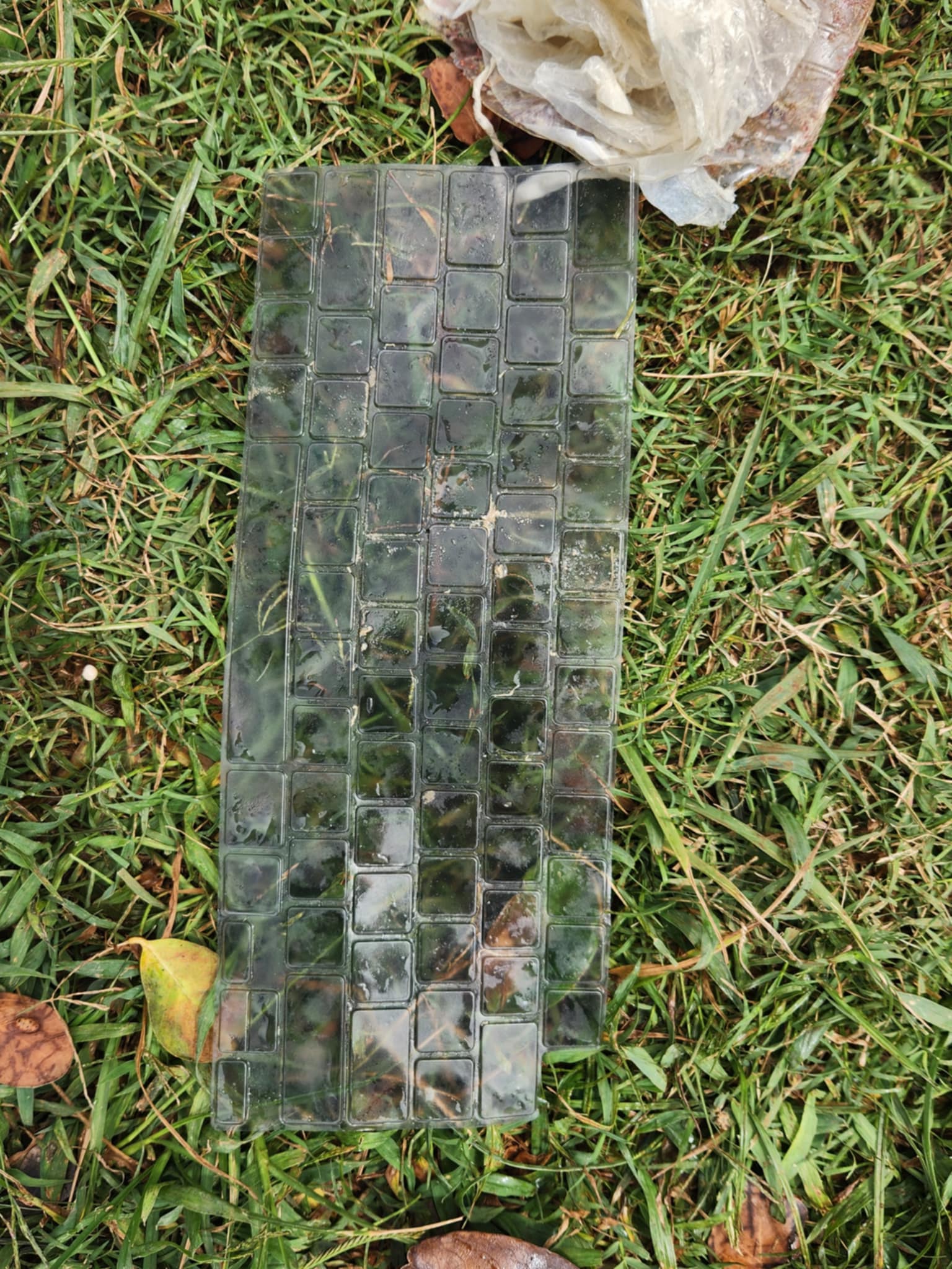 nUPu9xVv A keyboard cover found in the ocean