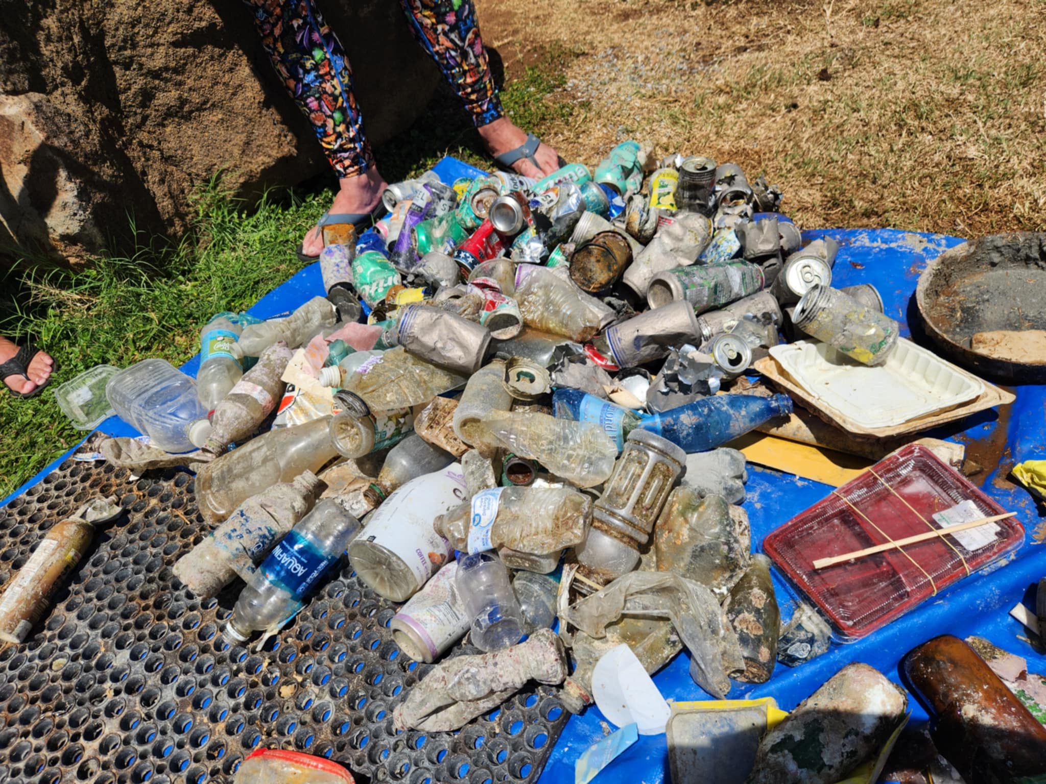 Single use plastics removed from a scuba dive hawaii cleanup