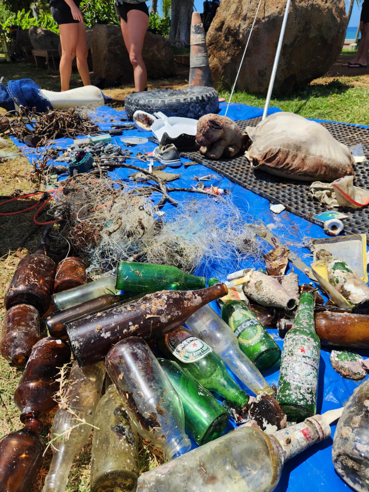 marine debris from point panic cleanup
